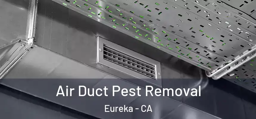 Air Duct Pest Removal Eureka - CA