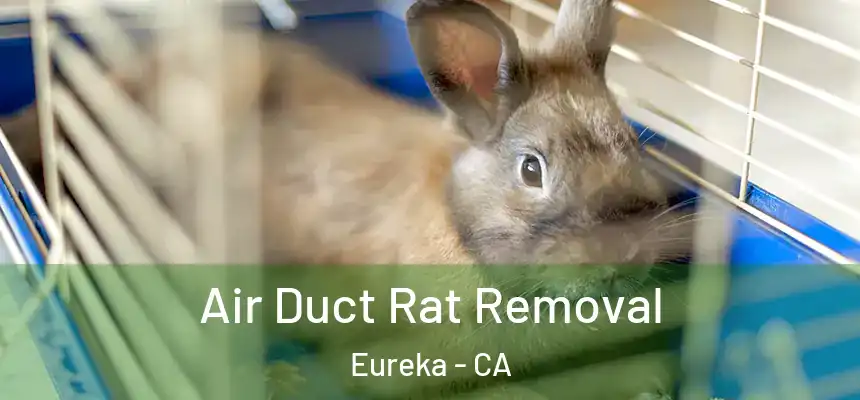 Air Duct Rat Removal Eureka - CA