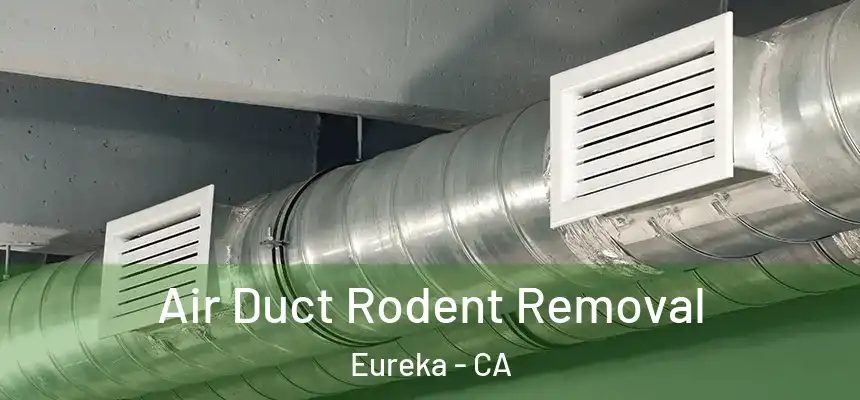  Air Duct Rodent Removal Eureka - CA