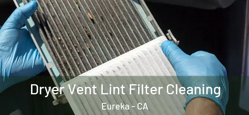  Dryer Vent Lint Filter Cleaning Eureka - CA