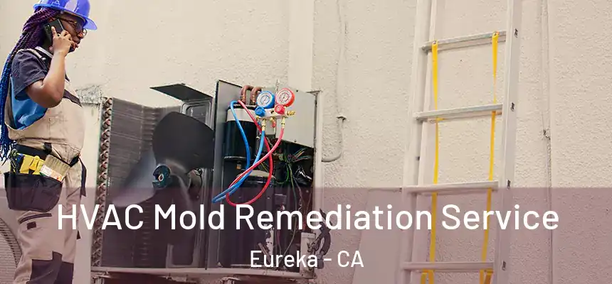  HVAC Mold Remediation Service Eureka - CA