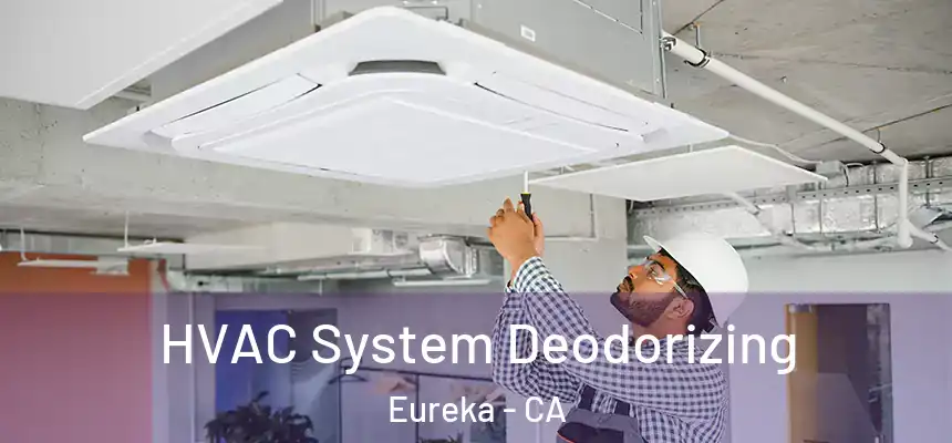 HVAC System Deodorizing Eureka - CA
