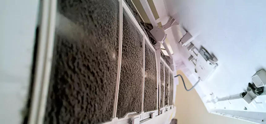 Preventive Air Duct Bacteria Removal in Eureka