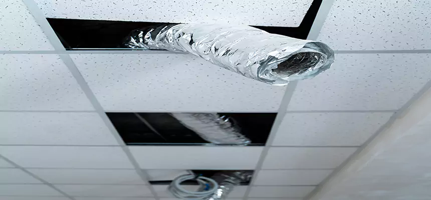 Affordable HVAC Sanitizing After Pest Removal in Eureka