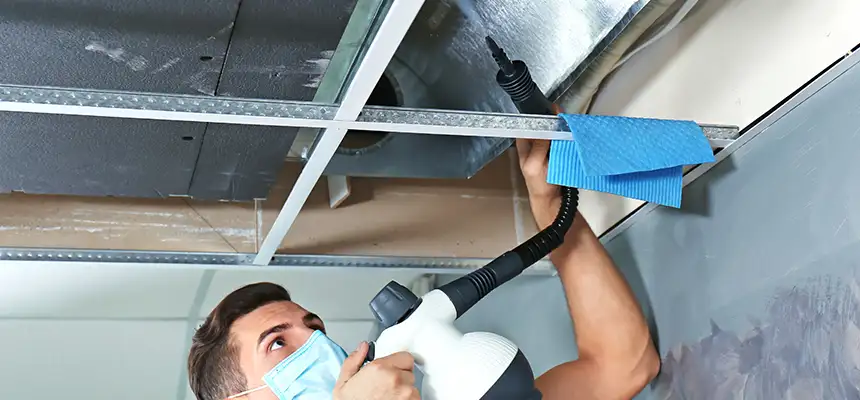 Our Air Duct Rodent Removal Services in Eureka, CA