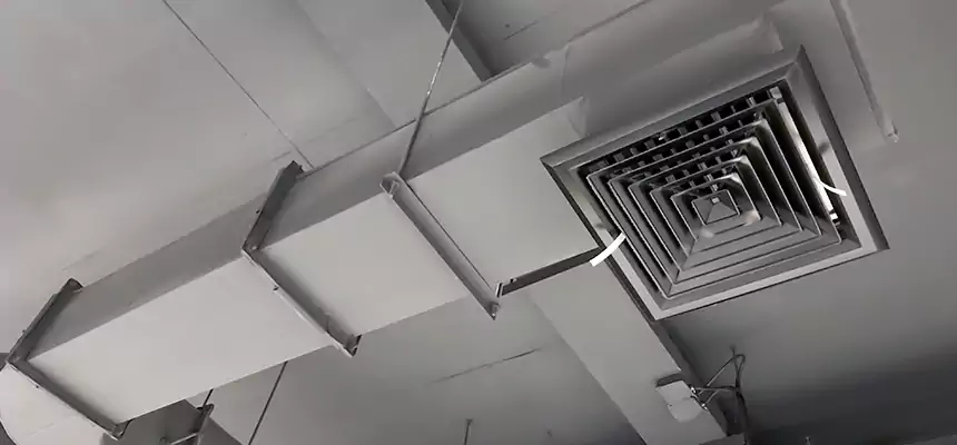 Our Pest Removal From Ducts Services in Eureka, CA