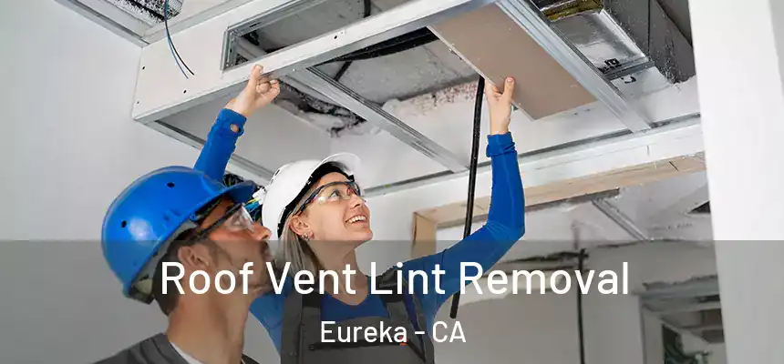  Roof Vent Lint Removal Eureka - CA