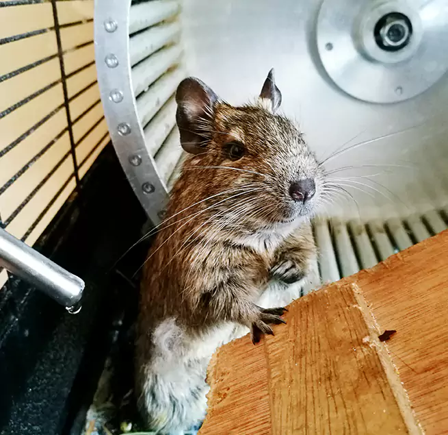 Why Homeowners & Businesses Trust Us Eureka, CA