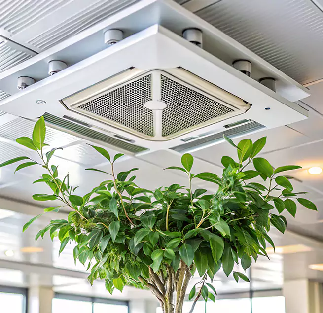 Why Homeowners & Businesses Trust Us in Eureka, CA