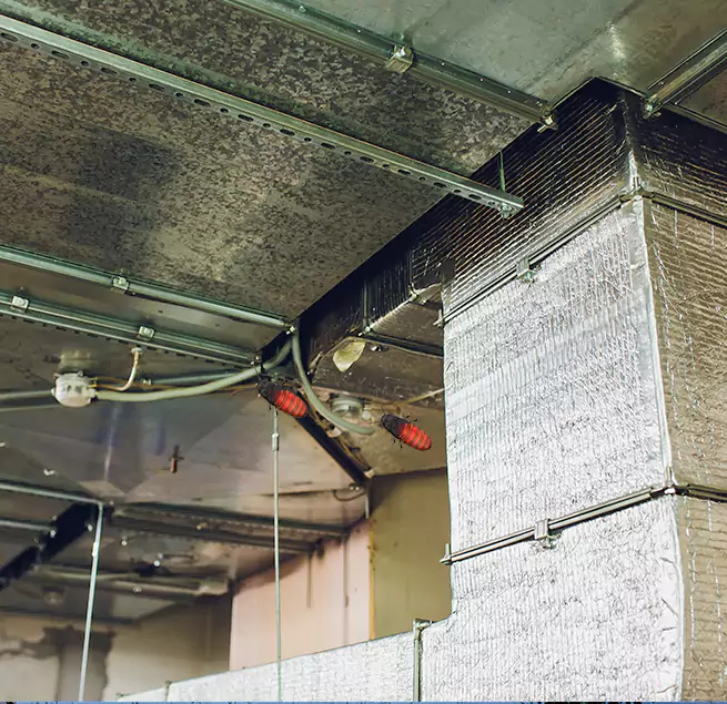 Why Homeowners & Businesses Trust Us Eureka, CA?