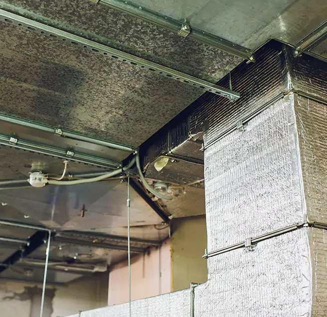 Why Homeowners & Businesses Trust Us in Eureka, CA?